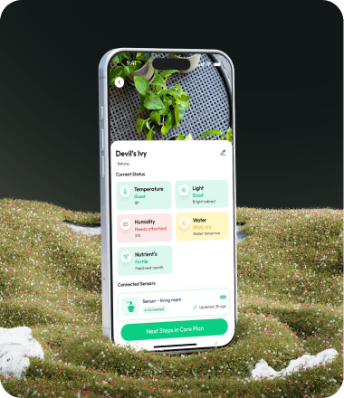 Interaction